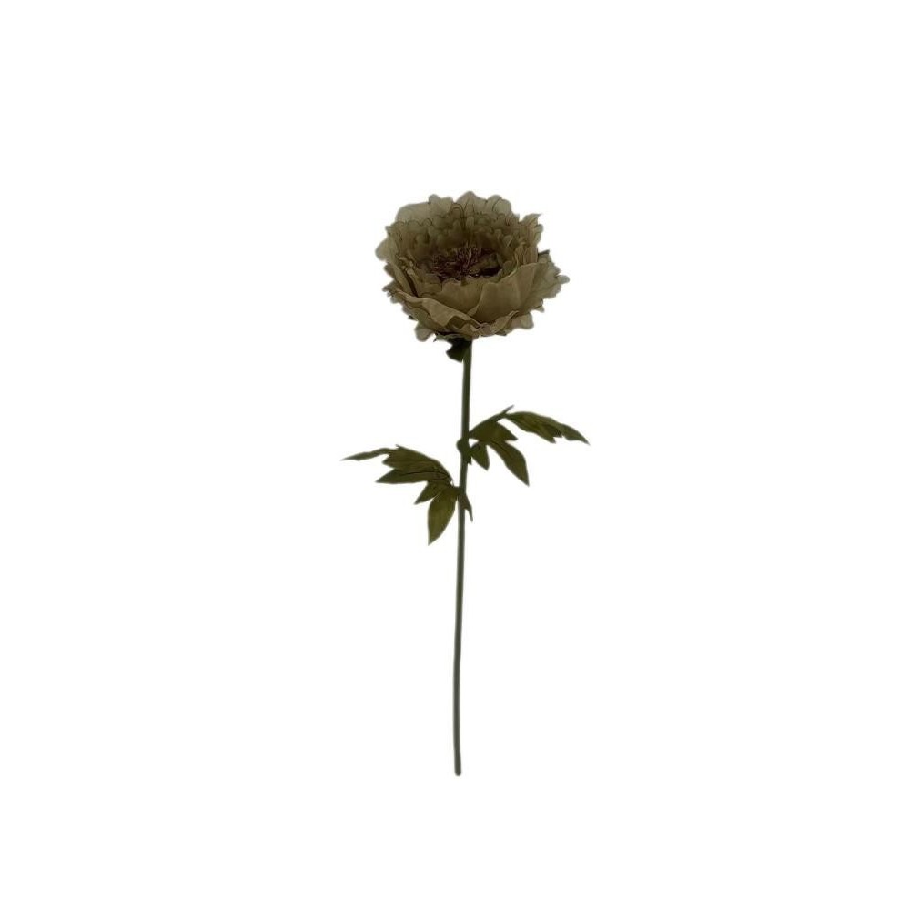 PEONIA CHANTEL MARRONE H100